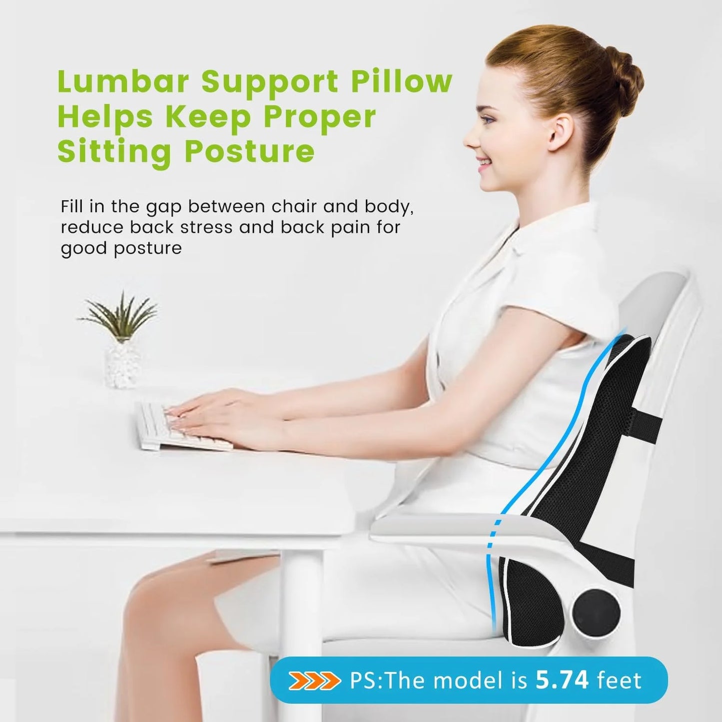 Lumbar Support Pillow